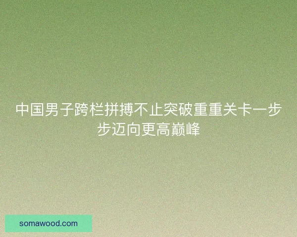 中国男子跨栏拼搏不止突破重重关卡一步步迈向更高巅峰