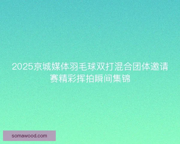 2025京城媒体羽毛球双打混合团体邀请赛精彩挥拍瞬间集锦