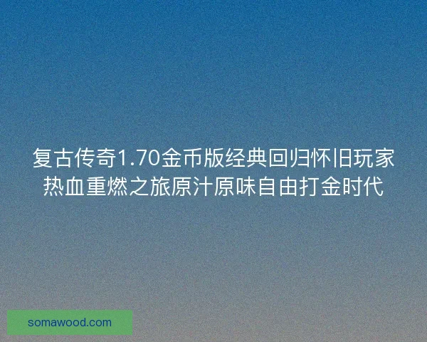 复古传奇1.70金币版经典回归怀旧玩家热血重燃之旅原汁原味自由打金时代
