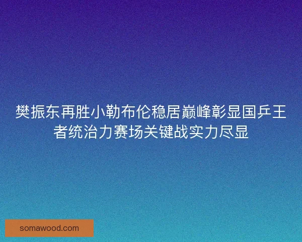 樊振东再胜小勒布伦稳居巅峰彰显国乒王者统治力赛场关键战实力尽显