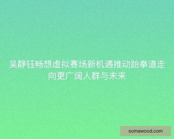 吴静钰畅想虚拟赛场新机遇推动跆拳道走向更广阔人群与未来