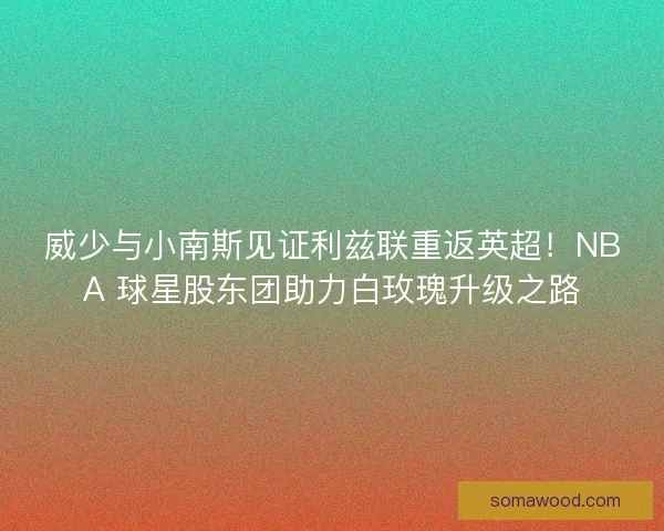 威少与小南斯见证利兹联重返英超！NBA 球星股东团助力白玫瑰升级之路