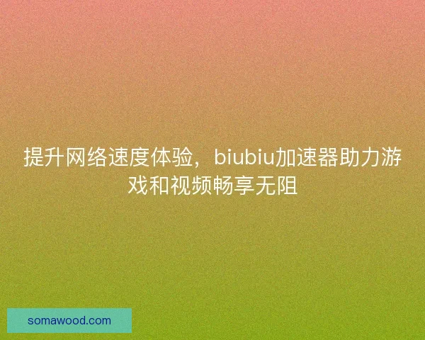 提升网络速度体验，biubiu加速器助力游戏和视频畅享无阻