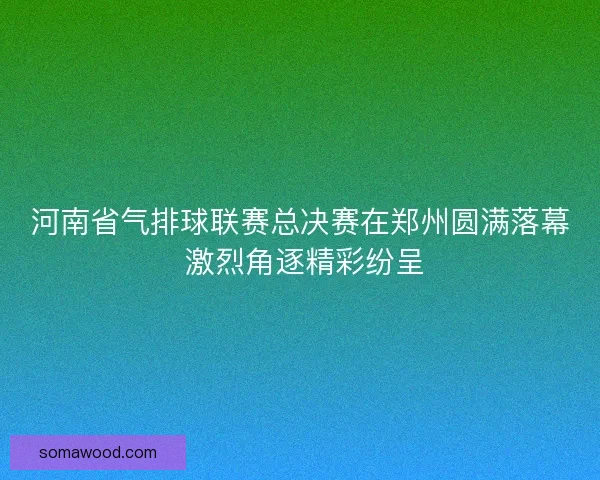河南省气排球联赛总决赛在郑州圆满落幕 激烈角逐精彩纷呈