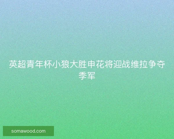 英超青年杯小狼大胜申花将迎战维拉争夺季军 英超青年杯小狼大胜申花将迎战维拉争夺季军