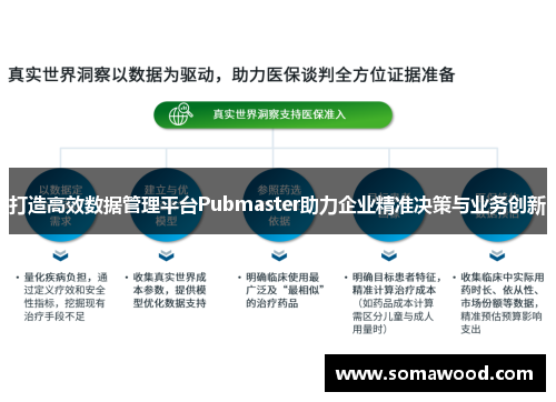 打造高效数据管理平台Pubmaster助力企业精准决策与业务创新